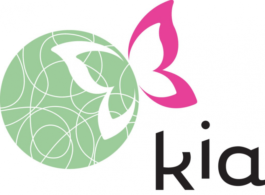 logo-kia-norge-9