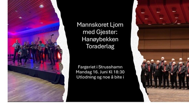 Mannskoret_Ljom-_sommerkonsert_i_Fargeriet_25